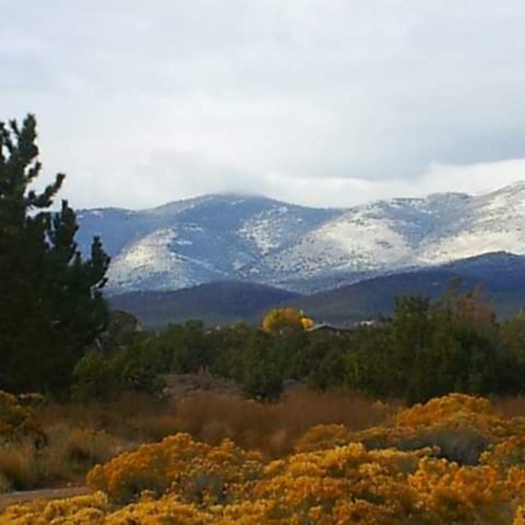 Meet your Posher, Oleta - Picture 2 of 8